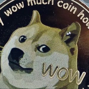 Meet your Posher, Dave